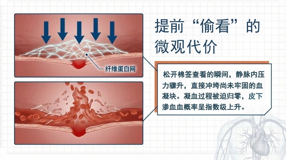 采血按压防淤青-SOP_第12页