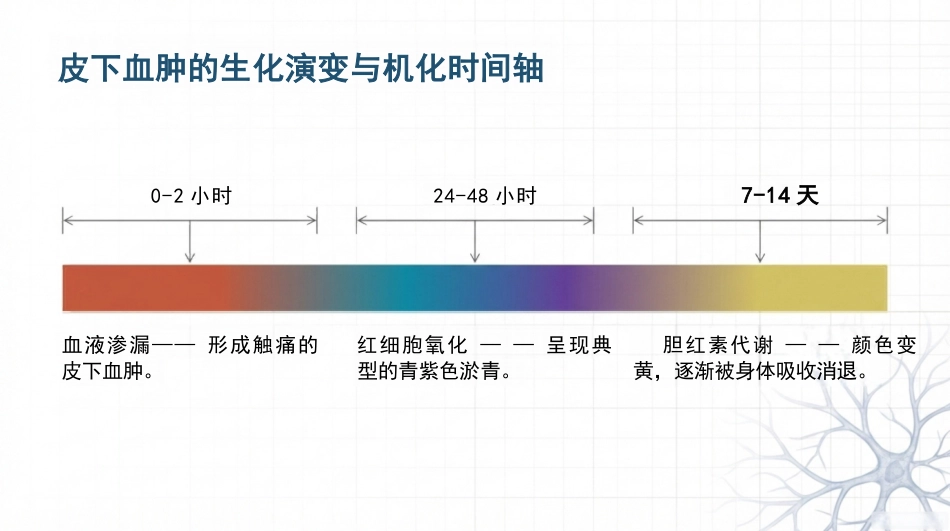 采血按压防淤青-SOP_第6页