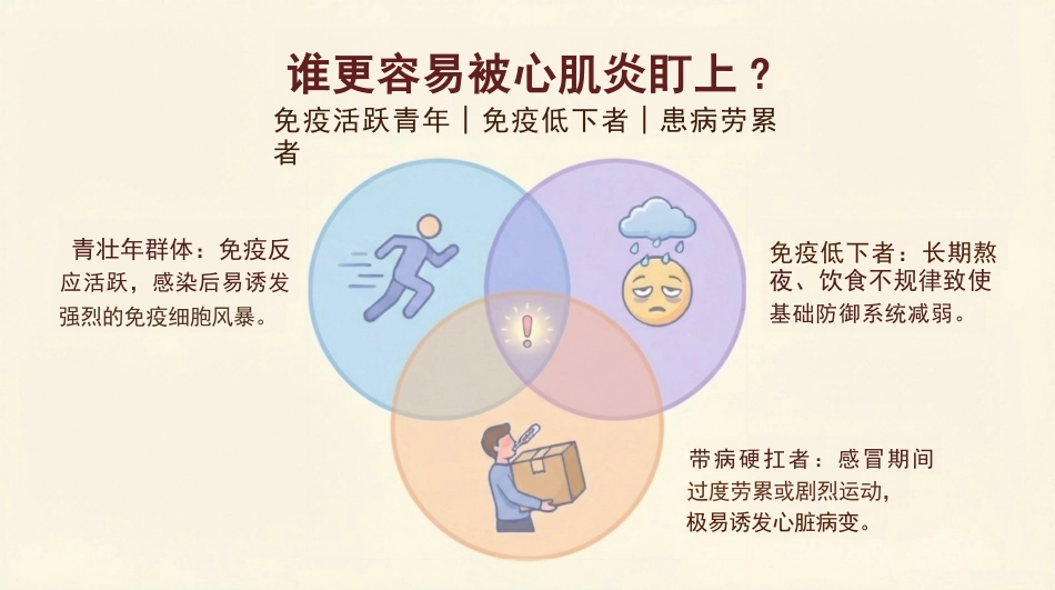 病毒性心肌炎健康宣教_第13页