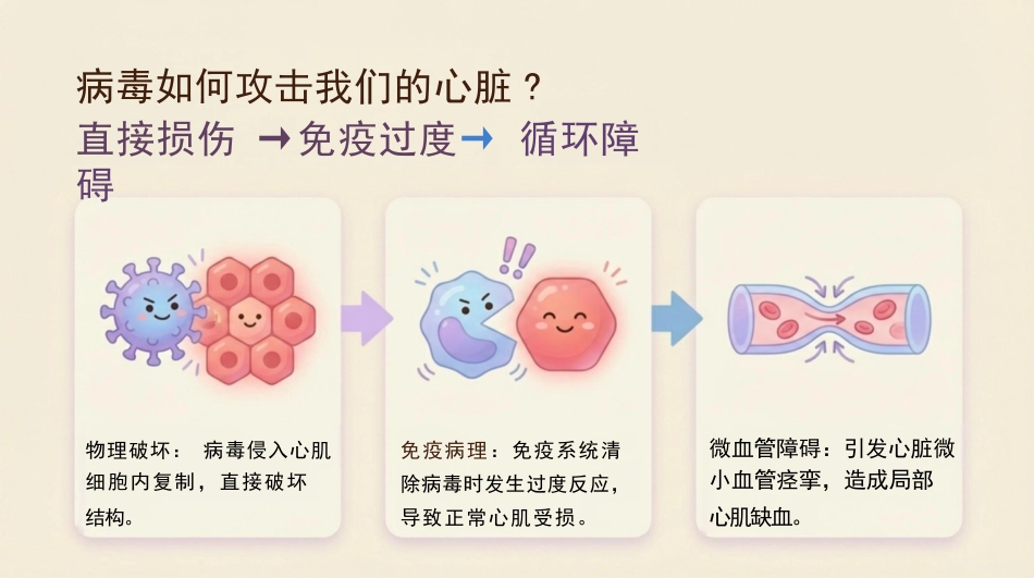 病毒性心肌炎健康宣教_第5页