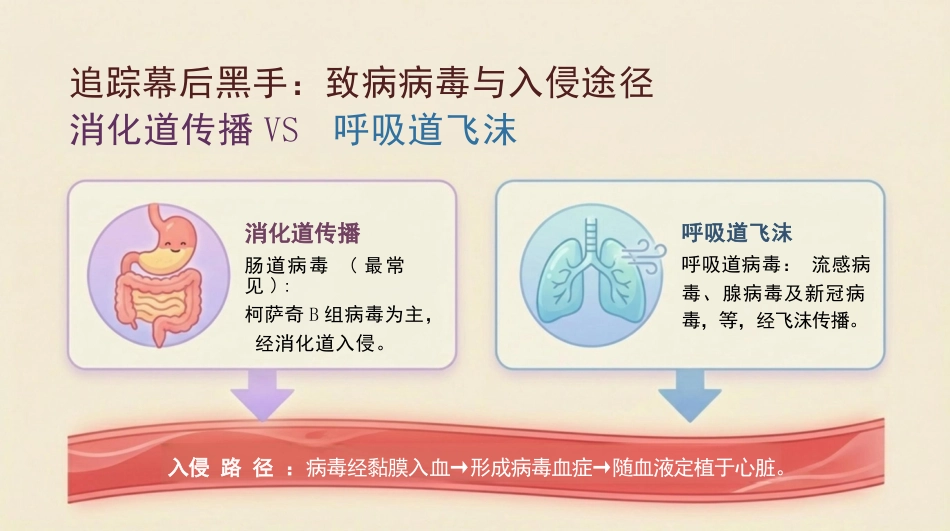 病毒性心肌炎健康宣教_第6页