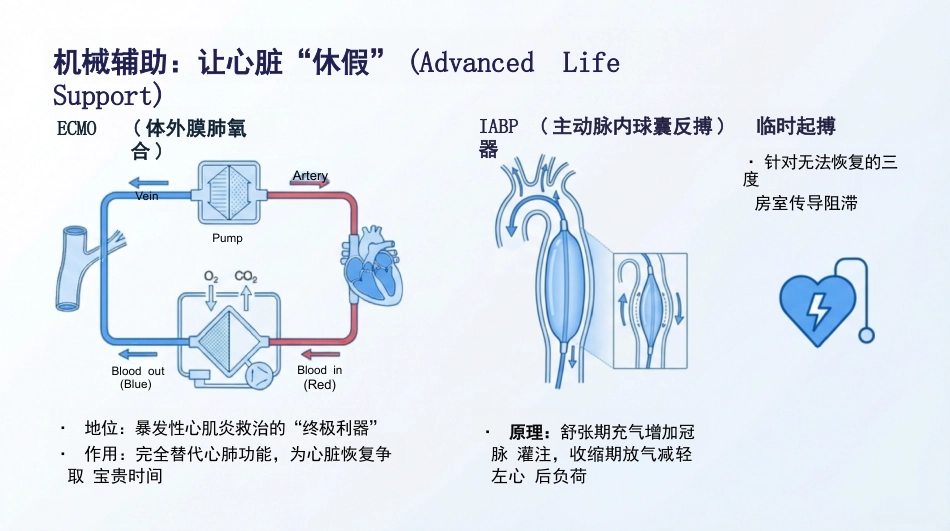 病毒性心肌炎护理查房_第12页