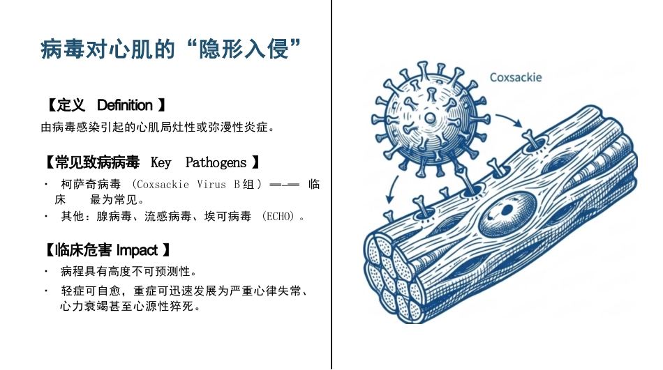 病毒性心肌炎护理查房_第3页