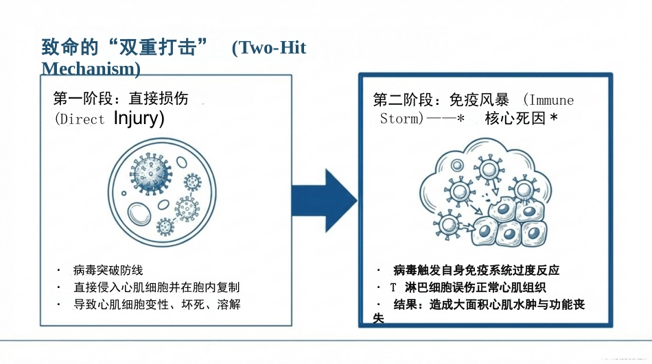 病毒性心肌炎护理查房_第4页