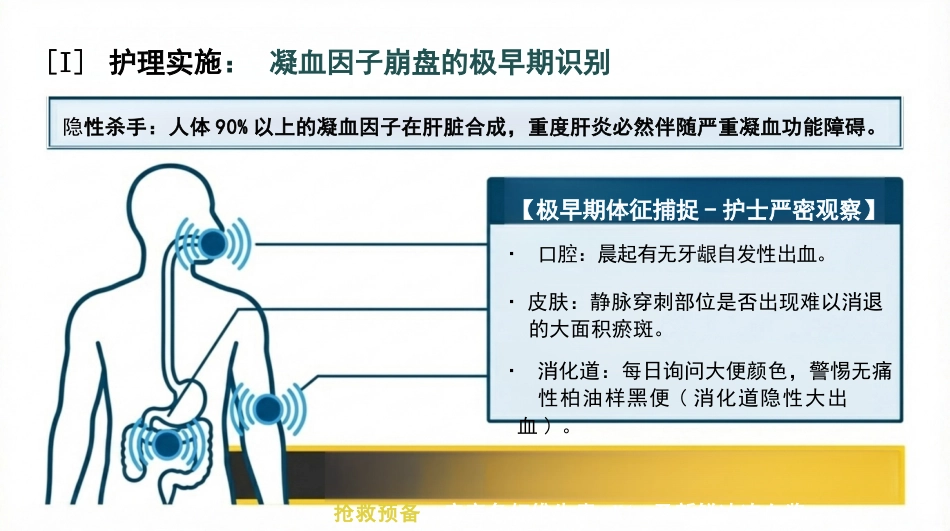 病毒性肝炎护理查房_第13页