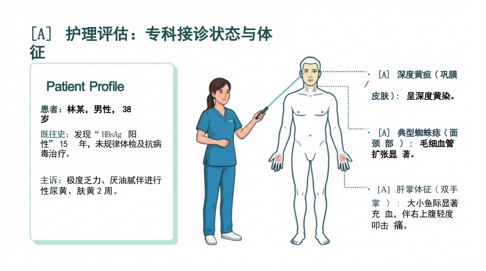 病毒性肝炎护理查房_第3页