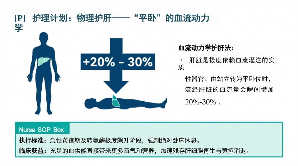 病毒性肝炎护理查房_第8页