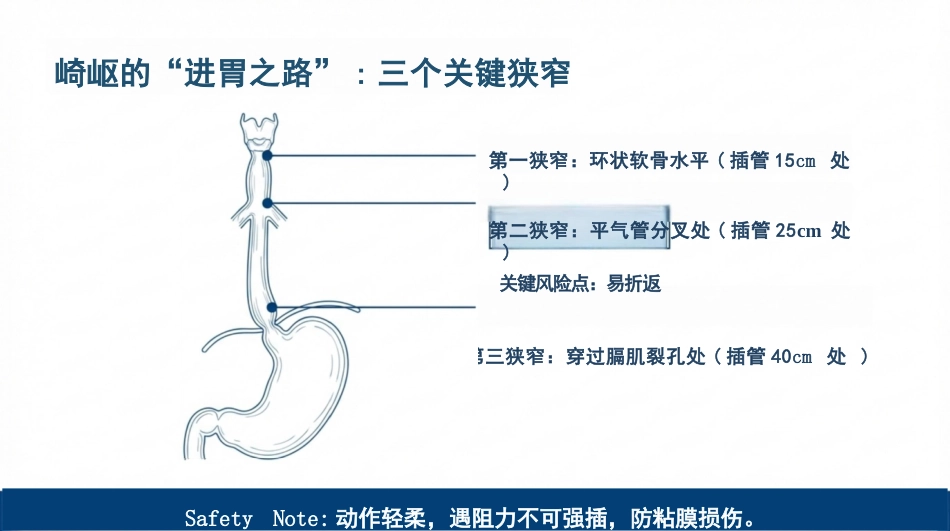 鼻饲安全管理与规范化操作_第3页