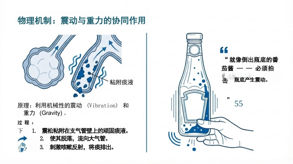 CPT扣背排痰护理实操精要_第3页
