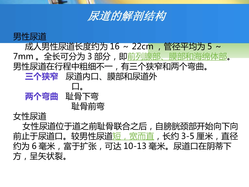 留置导尿的护理_第7页