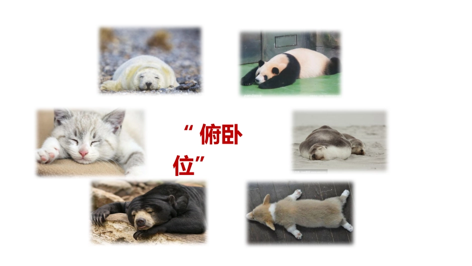俯卧位通气的操作流程及护理要点_第2页