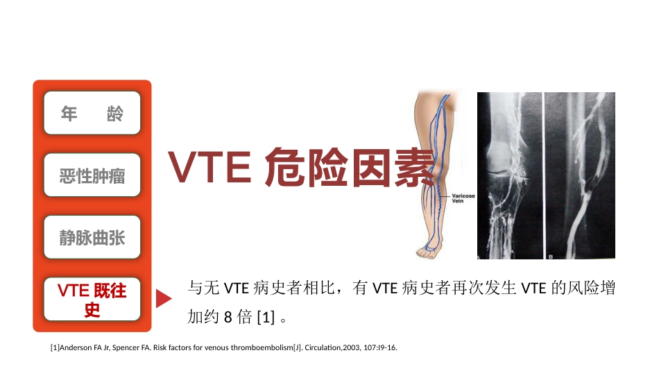 院内VTE的预防及护理措施_第10页