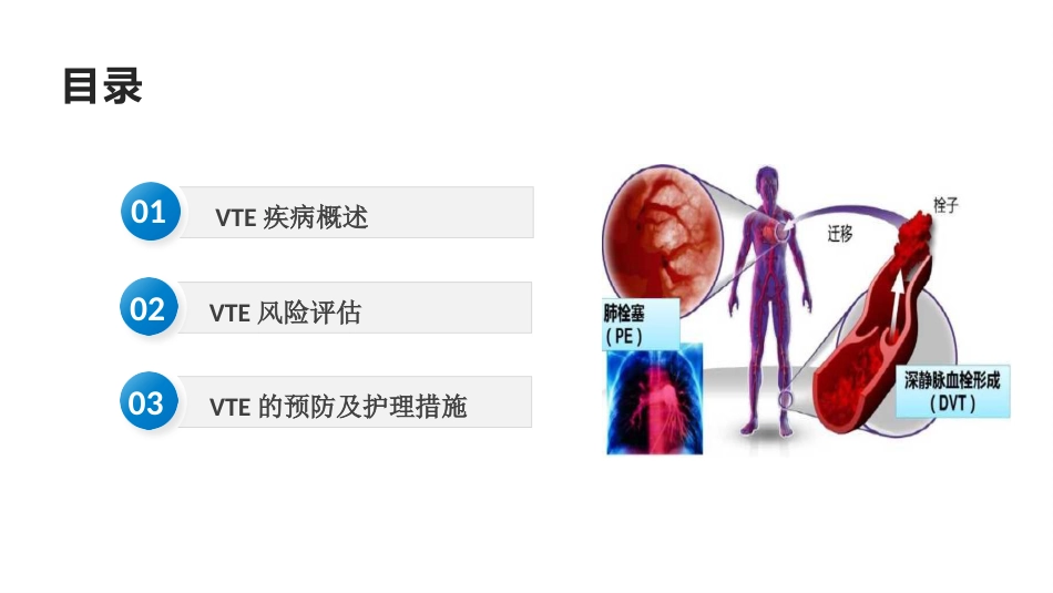 院内VTE的预防及护理措施_第2页