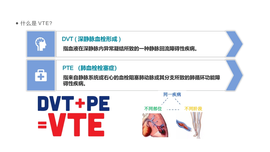 院内VTE的预防及护理措施_第4页