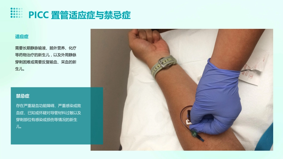 2024版新生儿PICC置管和护理ppt培训课件_第8页