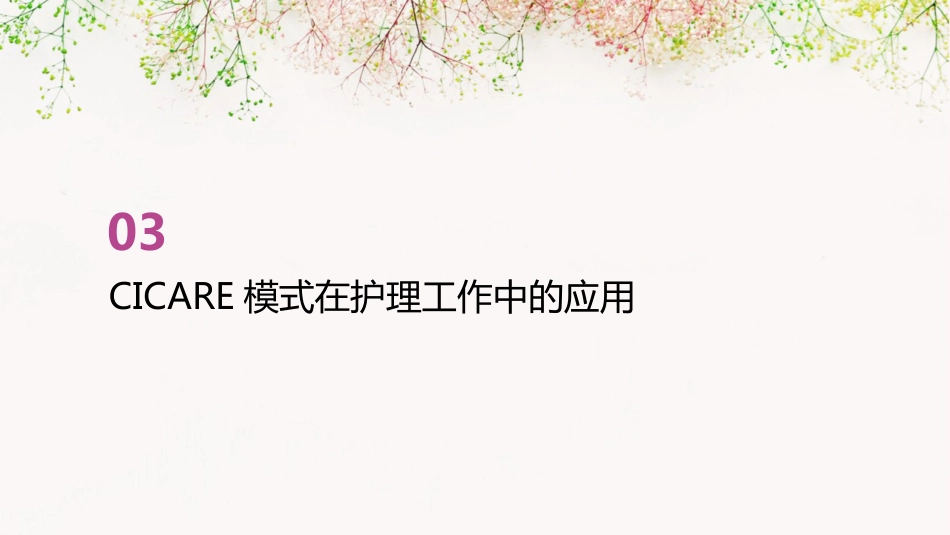 CICARE护患沟通模式PPT_第14页