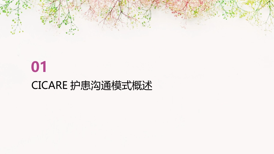CICARE护患沟通模式PPT_第3页