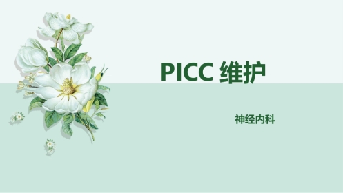 PICC维护