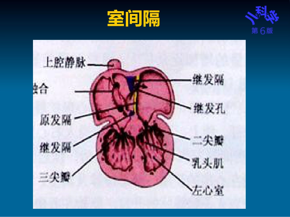 儿科护理学先天性心脏病_第12页