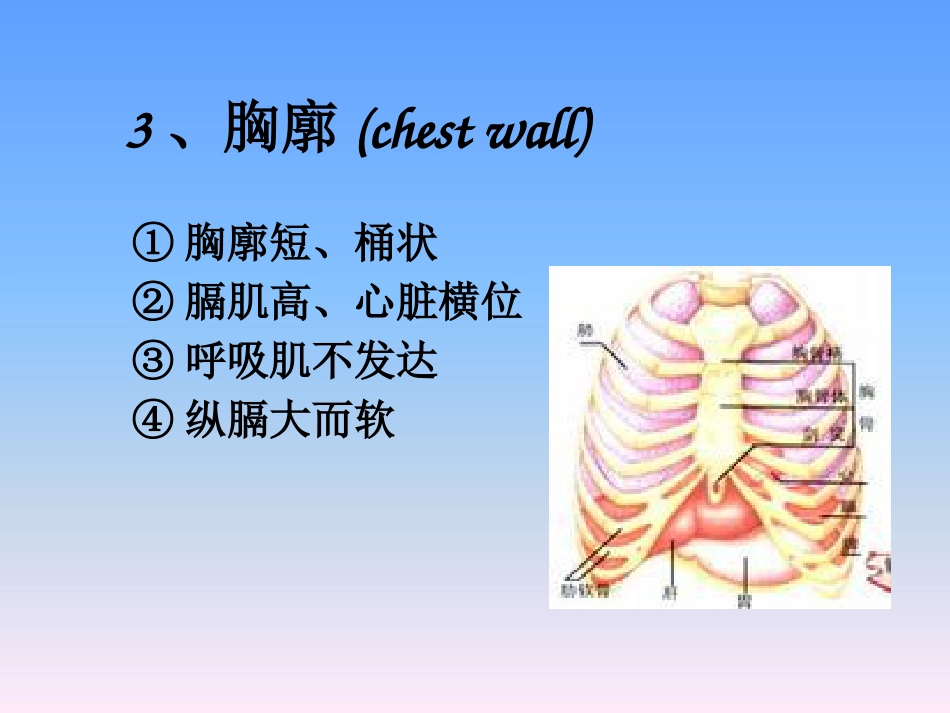 儿科护理学-呼吸系统疾病患儿的护理_第10页