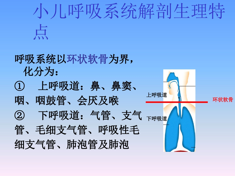 儿科护理学-呼吸系统疾病患儿的护理_第5页