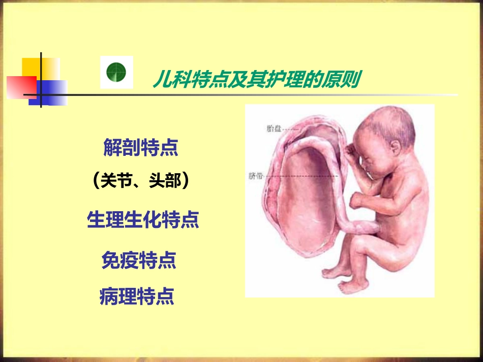 儿科护理学_第6页