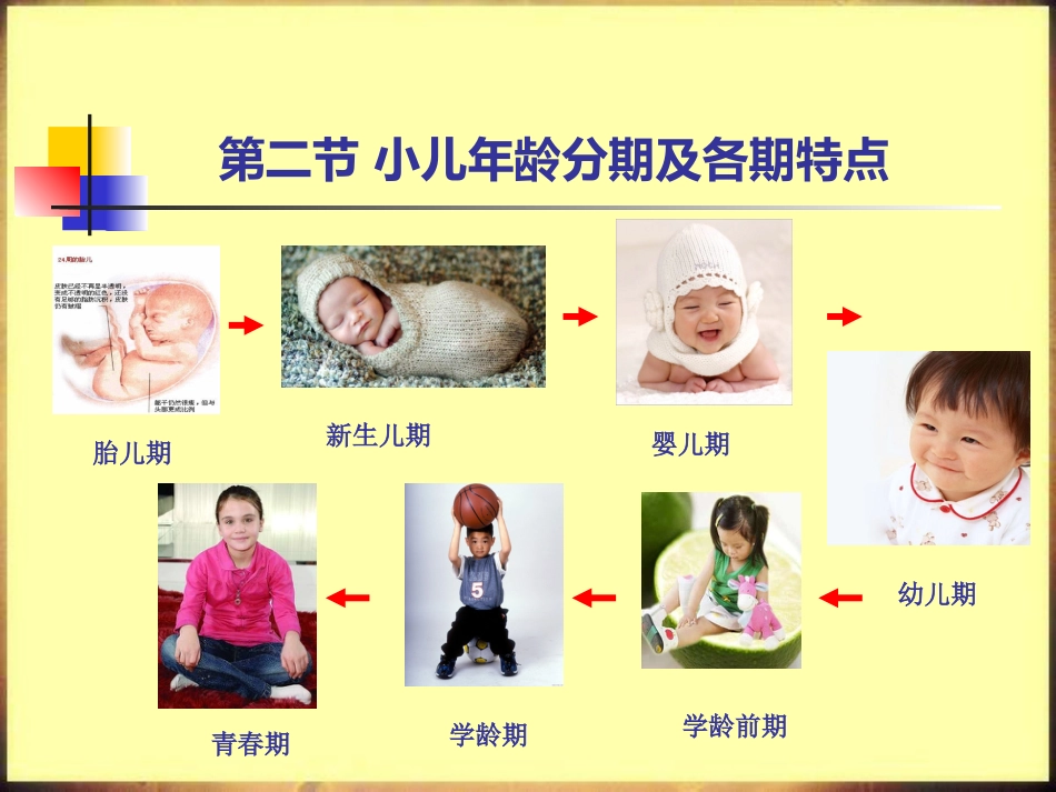 儿科护理学_第8页