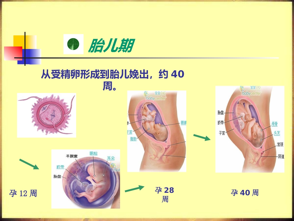 儿科护理学_第9页