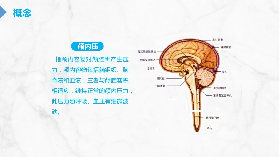 重症护理：颅内压增高的护理PPT_第4页