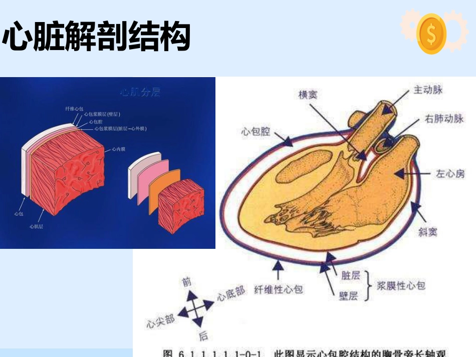 心脏压塞、肺栓塞、血管迷走反射的紧急处理与护理配合_第3页