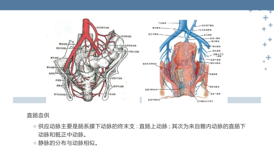 腹腔镜下直肠癌根治术疾病护理查房_第6页