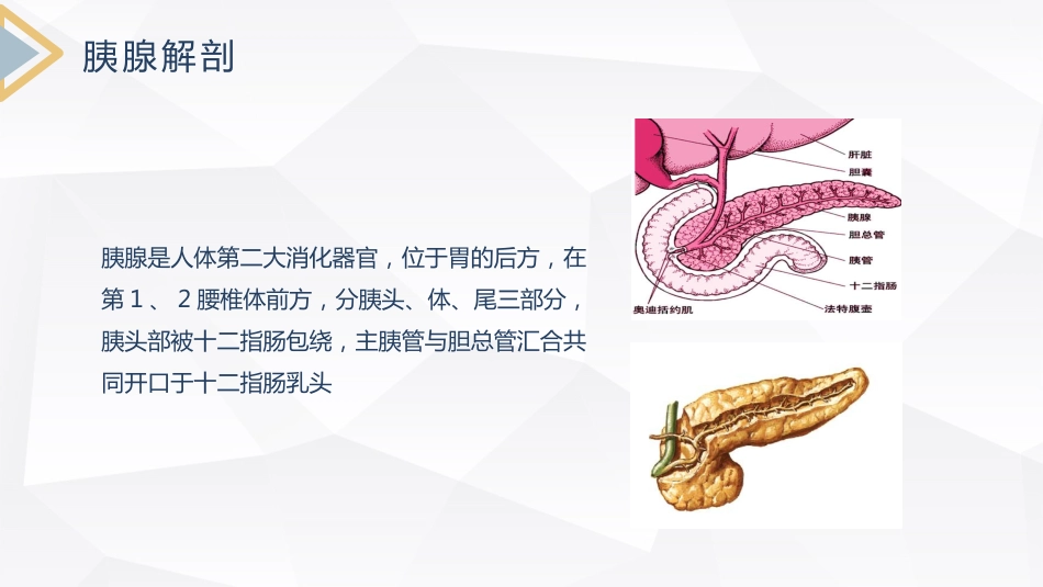重症护理：急性胰腺炎护理查房_第7页