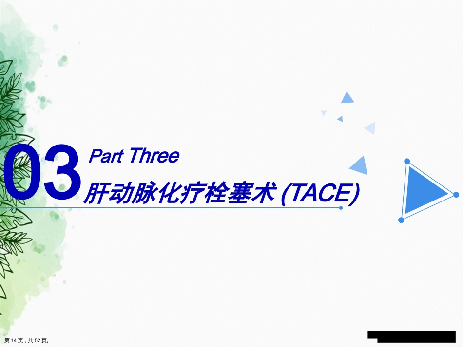 肝癌的介入治疗与护理正式讲课_第13页