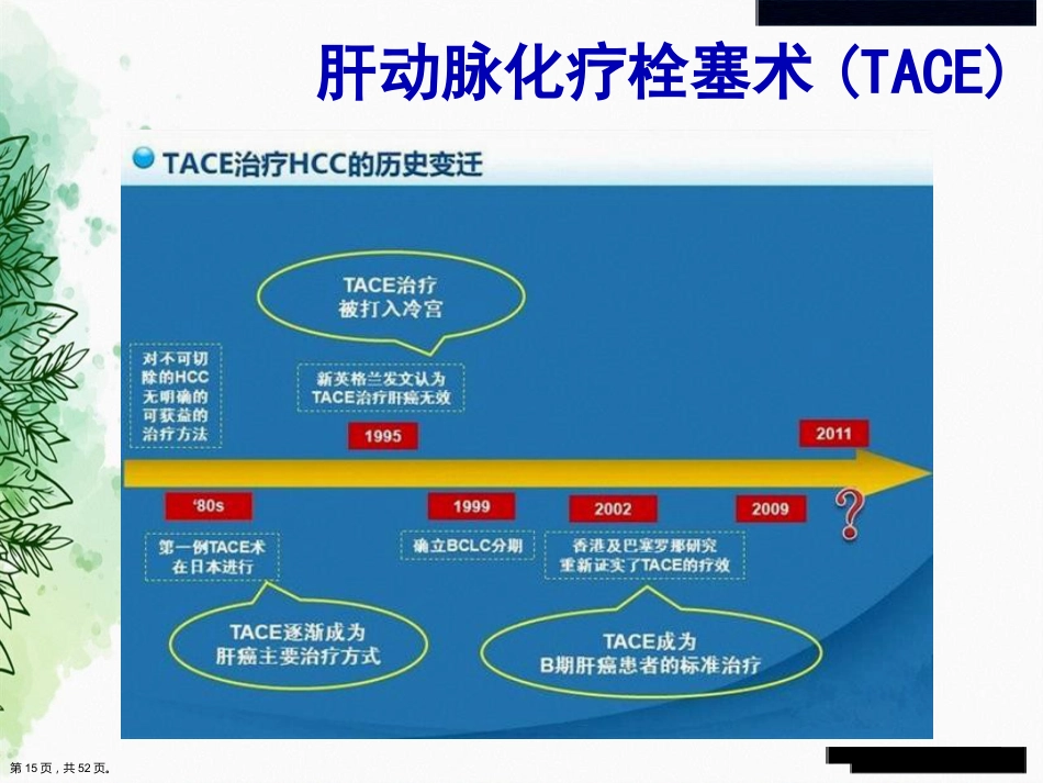 肝癌的介入治疗与护理正式讲课_第14页