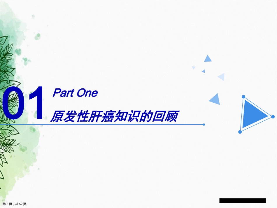 肝癌的介入治疗与护理正式讲课_第2页