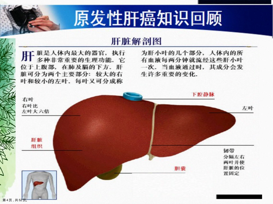 肝癌的介入治疗与护理正式讲课_第3页