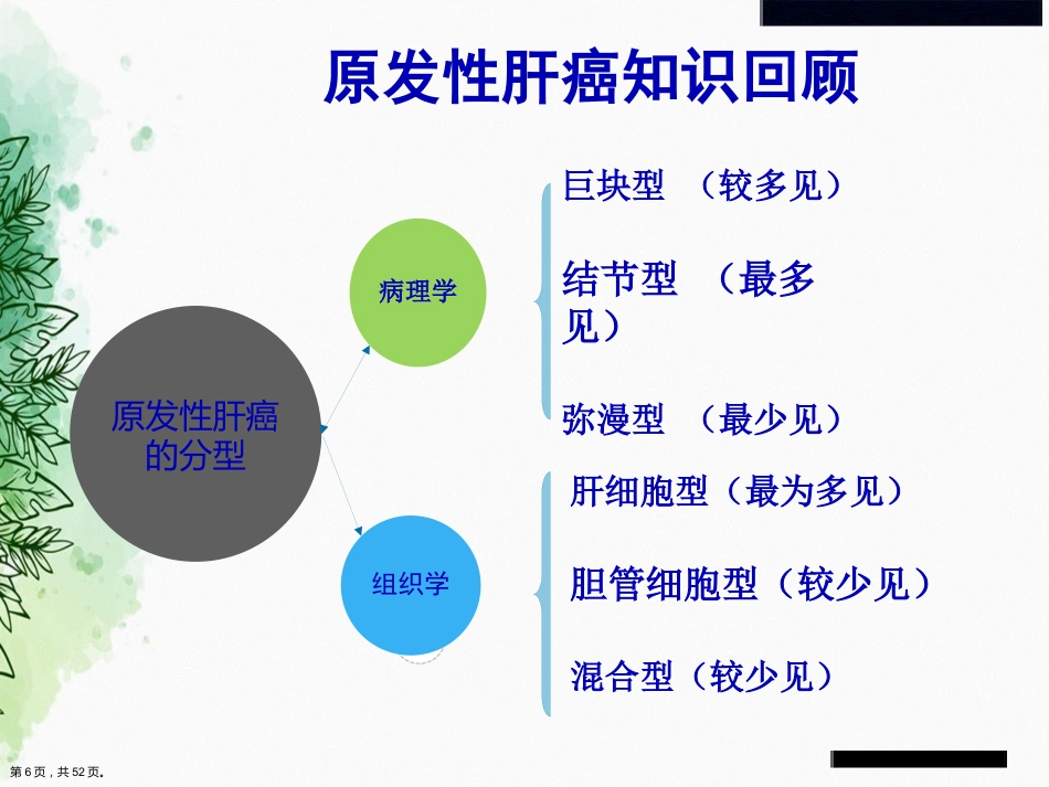 肝癌的介入治疗与护理正式讲课_第5页