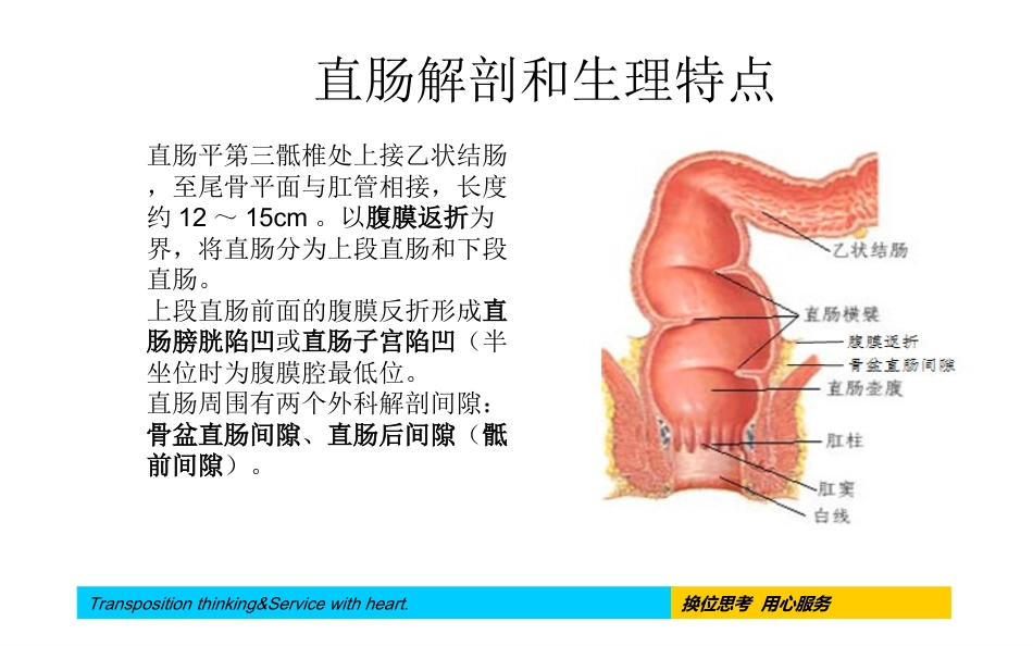 腹腔镜下直肠癌根治术手术配合及护理疾病查房_第6页