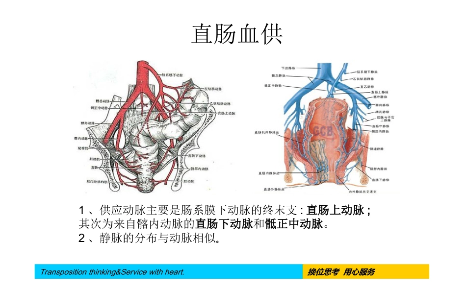 腹腔镜下直肠癌根治术手术配合及护理疾病查房_第7页