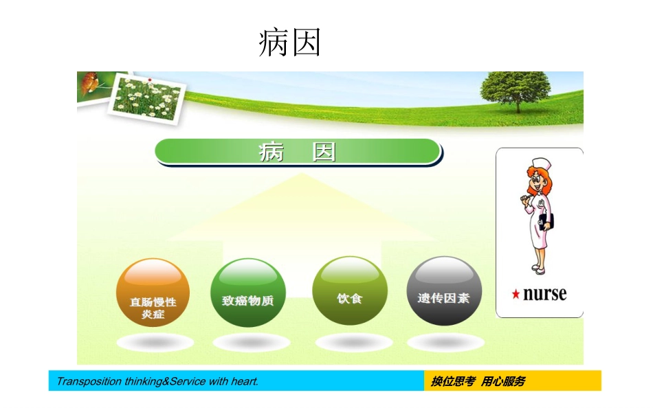 腹腔镜下直肠癌根治术手术配合及护理疾病查房_第8页