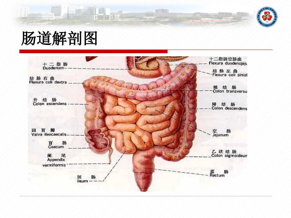 直肠癌的护理查房_第3页