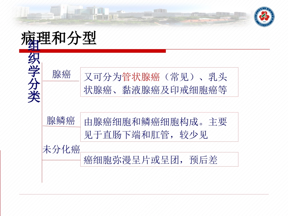 直肠癌的护理查房_第8页