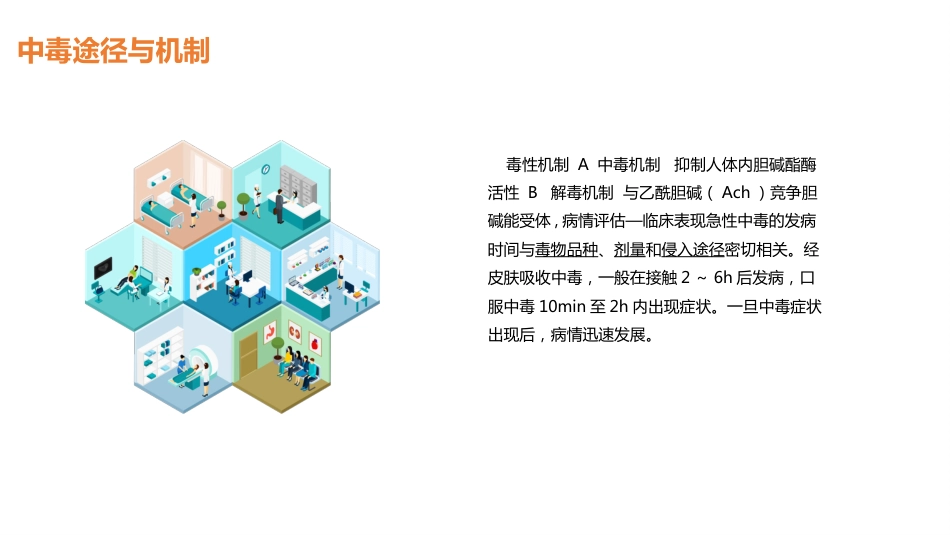 重症护理：有机磷中毒护理_第11页