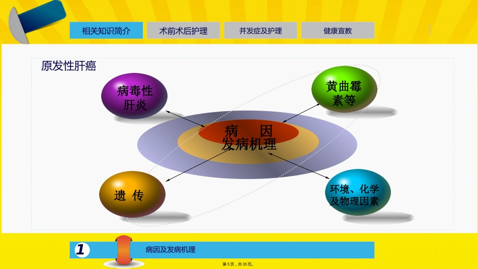 肝癌介入的治疗与护理_第4页