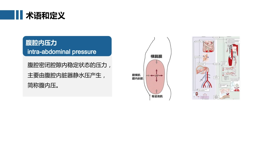 腹腔内压力经膀胱间接测量技术_第11页