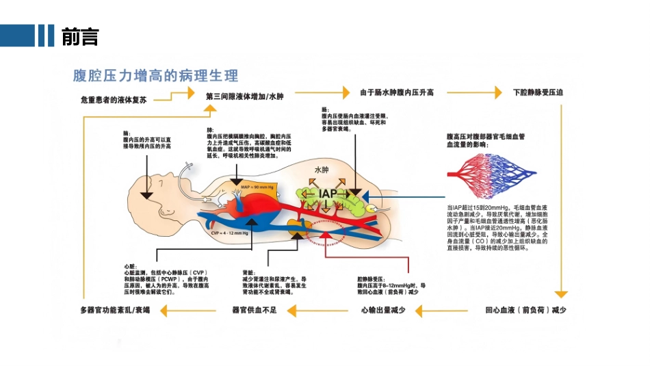 腹腔内压力经膀胱间接测量技术_第3页