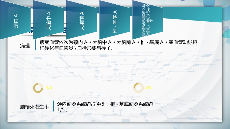 脑梗死腔隙性梗死护理查房PPT课件_第10页