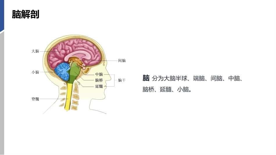 硬膜外血肿护理查房_第4页