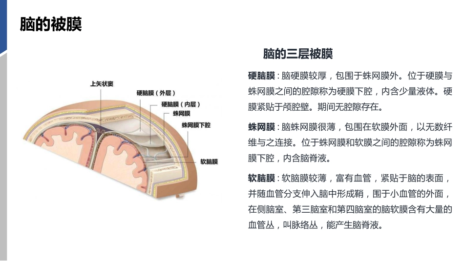 硬膜外血肿护理查房_第5页