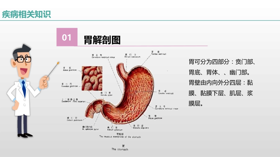 一例胃癌患者的疑难病例讨论_第4页